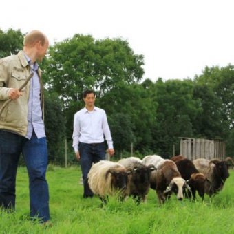 Teambuilding Schapen drijven Workshop training Drenthe 111 - Tijd voor ontwikkeling - Groepsactiviteiten, workshops, teambuilding en trainingen Drenthe