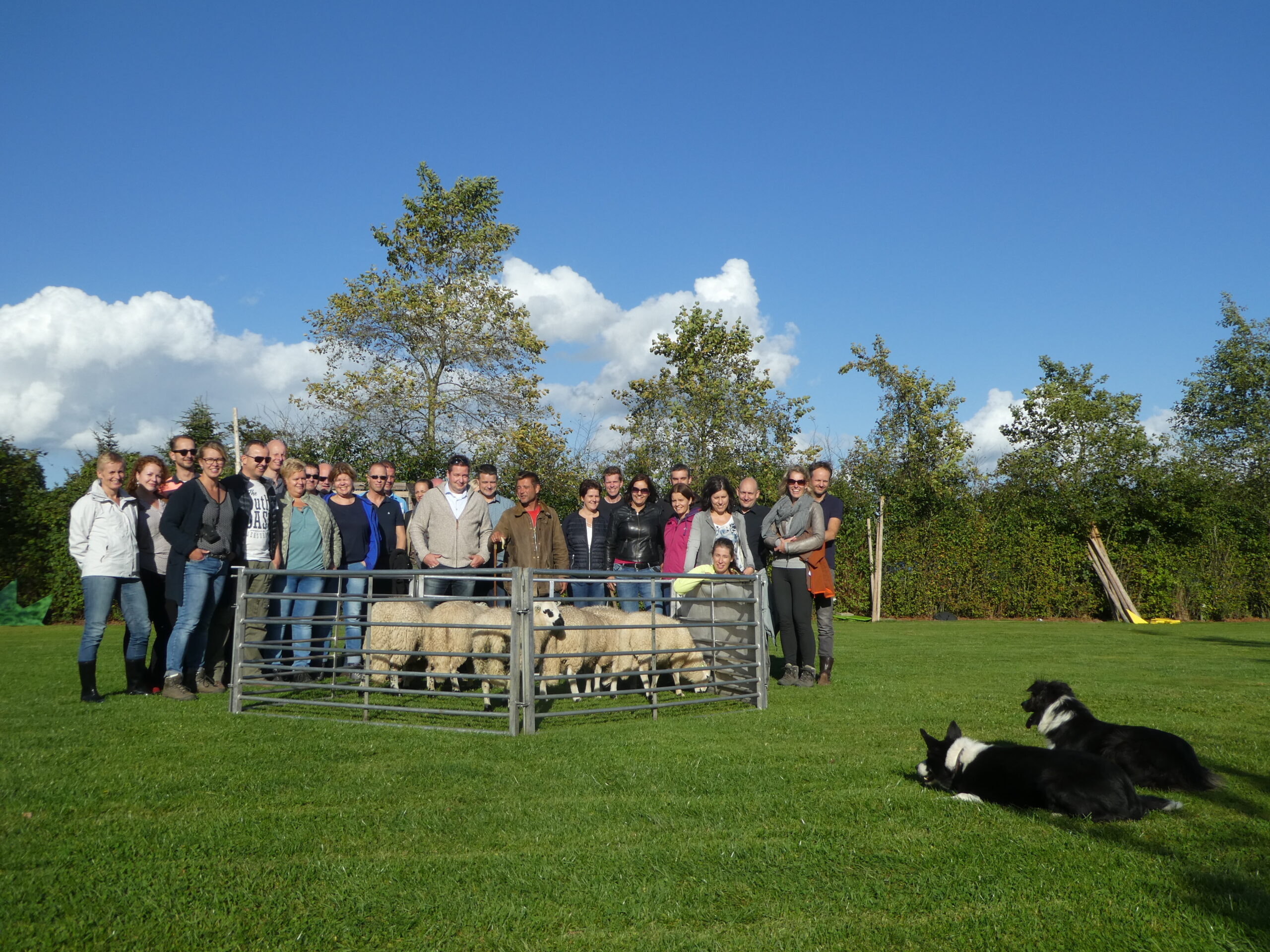 schapen drijven workshop 22 scaled - Tijd voor ontwikkeling - Groepsactiviteiten, workshops, teambuilding en trainingen Drenthe